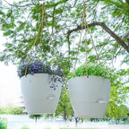 10 Inch Self Watering Hanging Pots, 2 Pack Hanging Planters with 40oZ Deep Reservior for Indoor Outdoor Plants Flowers, White