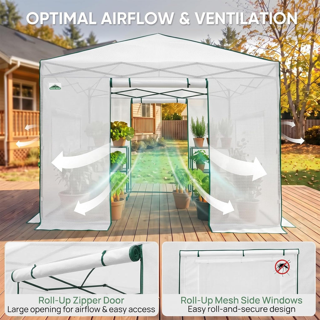 eagle peak 10x10 portable walk-in greenhouse, pop-up indoor shown in use