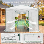 eagle peak 10x10 portable walk-in greenhouse, pop-up indoor shown in use