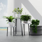 Plant Stand Indoor Tall: Corner Wood Plant Stand 2 Pack Mid Century Modern Decor - Small Round Plant Table for Indoor Plants - Outdoor Plant Holder for Patio Living Room Bathroom Office (White)