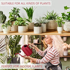 Watering Can Indoor Plants, 35oz Small Stainless Steel Metal Watering Can Modern Decorative Watering Pot with Long Spout for Indoor House Plant Bonsai Garden Flowers (Red)