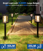 XMCOSY+ Solar Pathway Lights Outdoor, 6 Pack Solar Powered Garden Lights | 50 Lumens Adjustable Brightness, 2700K/4500K Color Dual-Temperatures, Auto On/Off IP65 for Lawn Walkway Landscape Lighting