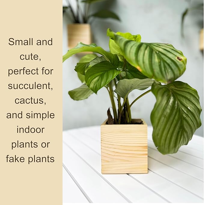 LaLaGreen Wooden Planter Box for Plants (4x4 Inch, 6 Pack) Small Square Wall Planters for Indoor Plant, Natural Wood Hanging Flower Boxes Herb Planter Table Centerpiece Modern Home Garden Office Decor