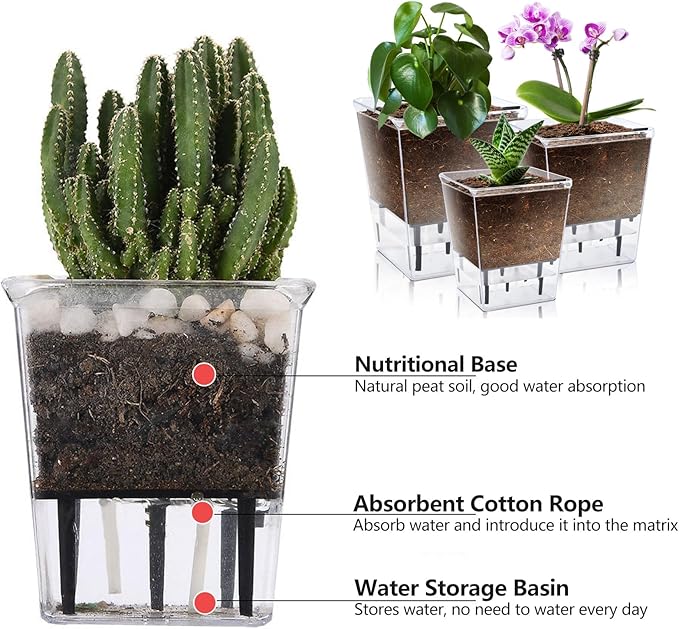 Self Watering Pots Set, 3 Pack 2.7 Inch Pots for Indoor Plants, Clear Nursery Planter with Deep Reservoir for Succulents, Seedlings, Small Plants
