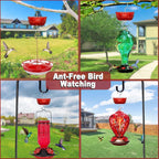 Ant Moat for Hummingbird Feeders, 6 OZ, 4 Pack, Red | Vintage Ant Guard Bowl, Hanging Feeder Accessory, Outdoor Nectar Protector