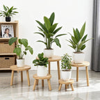 Delma Wood Plant Stands Indoor, 5-Pack Single Plant Stand for 6-12 Inch Pots, Mid-Century Modern Plant Stool, Tall Plant Stand for Large Plants for Living Room, Balcony, Office (Light Brown, 5-Pack)