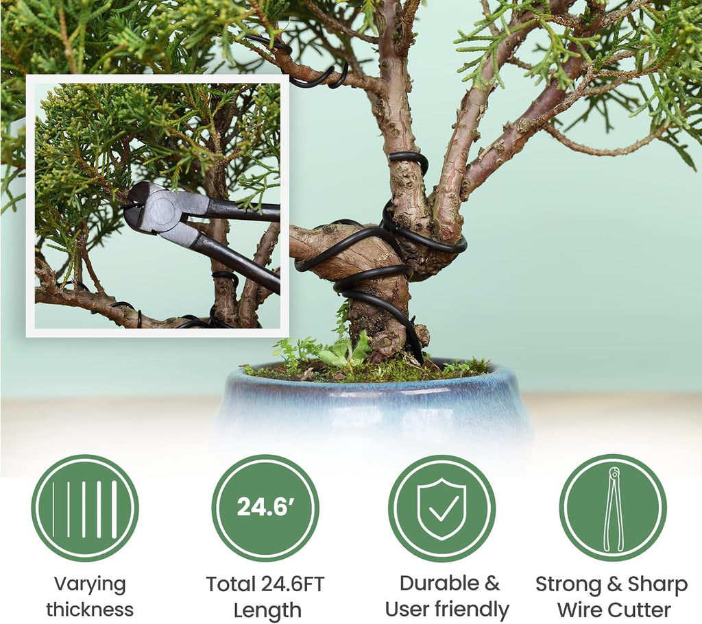 soligt 12-piece bonsai tools set with wood box showing dimensions