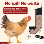 CluckRoots Chicken Grit and Oyster Shell Feeder Combo, No-Spill Metal | Lift-Off Heavy-Duty Dispenser w/ Rain Lid View Window, Small Flocks Capacity, Chicken Coop Accessories Gifts for Lovers