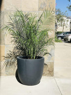 Kante 14 Inch Dia Round Concrete Planter, Indoor Outdoor Large Plant Pot with Drainage Hole and Rubber Plug for Home Patio Garden, Charcoal