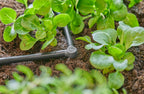 Gardena Micro-Drip-System L-Piece 4.6 mm (3/16 inch): Change Direction of Supply Pipes and Irrigation Lines by 90 Degrees, Kink-Free Installation, Easy & Flexible Connection Technology (13212-20)