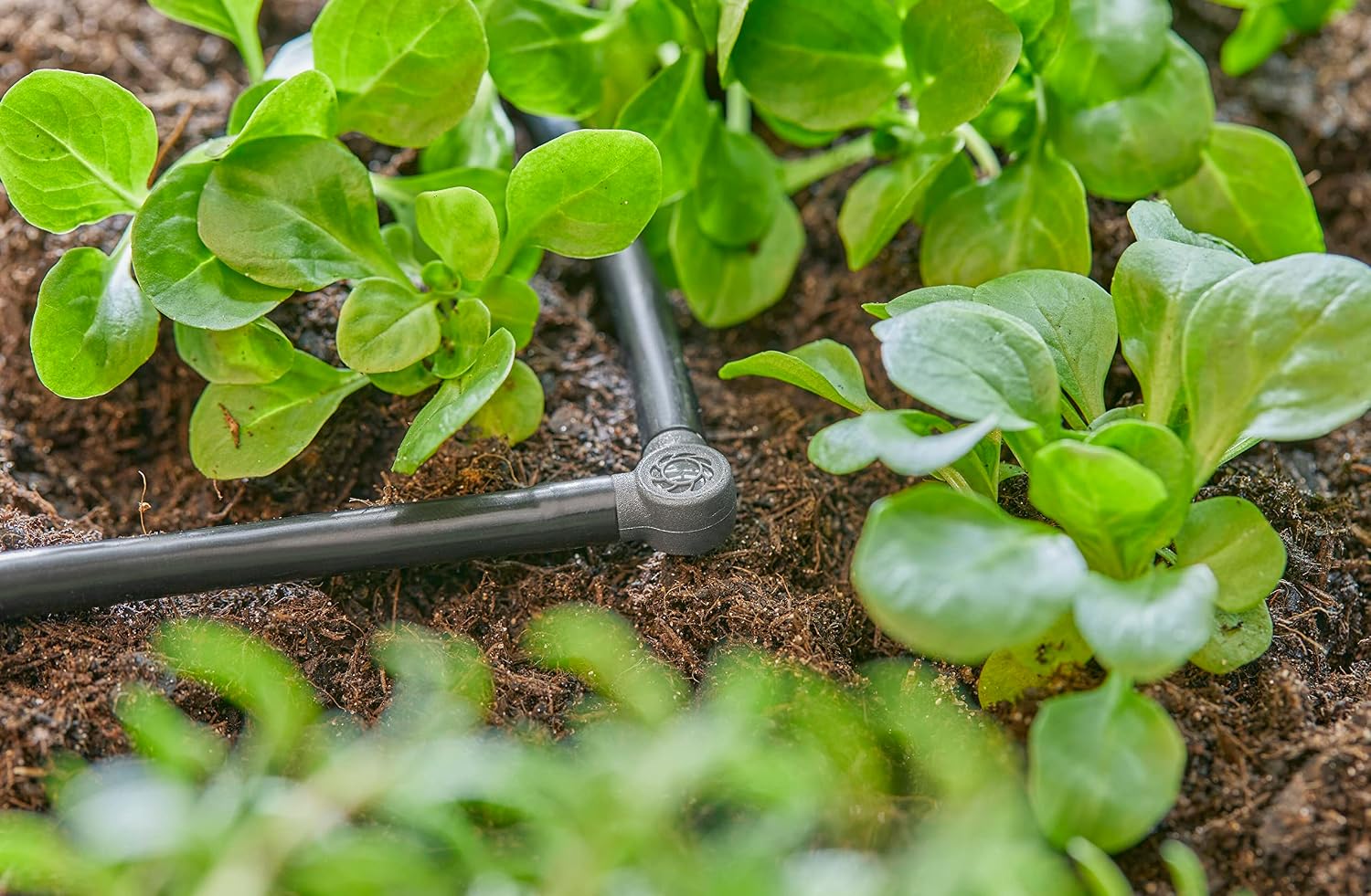 Gardena Micro-Drip-System L-Piece 4.6 mm (3/16 inch): Change Direction of Supply Pipes and Irrigation Lines by 90 Degrees, Kink-Free Installation, Easy & Flexible Connection Technology (13212-20)