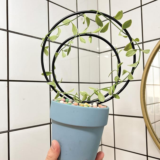 Hoya Trellis Set of 3 Round Climbing Plant Supports - Small, Medium, Large - Sturdy Metal for Indoor & Outdoor Potted Plants - Easy Tool-Free Assembly - Great Choice for Plant Enthusiasts
