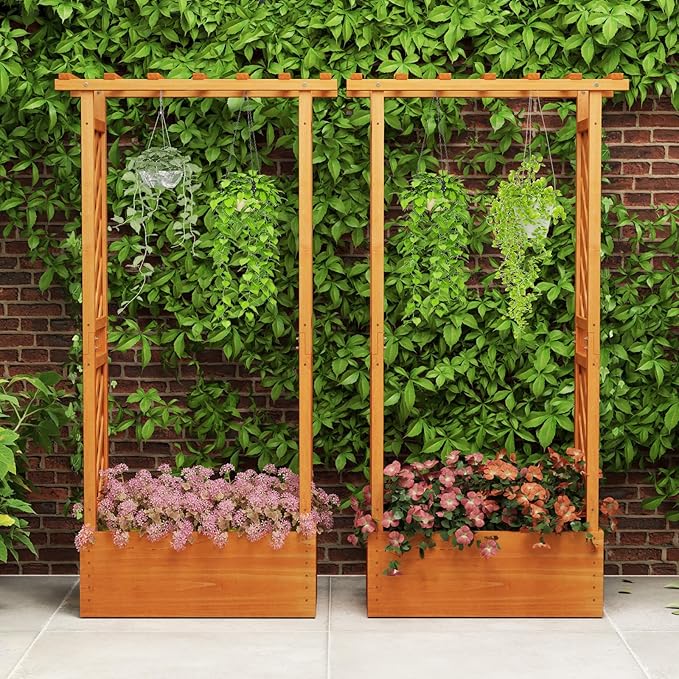 Giantex Set of 2 Raised Garden Bed with 2-Sided Trellis & Hanging Roof, Fir Wood Planter Box w/Drainage Holes, Bottom Gaps, Freestanding Garden Planter for Flowers Herbs Climbing Vines (31"x12.5"x60")