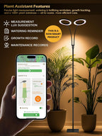 48W Grow Lights for Indoor Plants, Full Spectrum LED Plant Light with Stand | Dimmable, 3 Lighting Modes, 23"-79" Adjustable Height, Plant Growing Lamp with 3/9/12/16H Timer, Black Dual Heads Floor Lamp