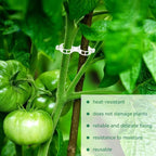 150 Pcs Plant Clips for Climbing Plants, Tomato Clips for Support, Plastic Garden Clips for Plants Grape Vine Vegetables Make Plant Grow Upright