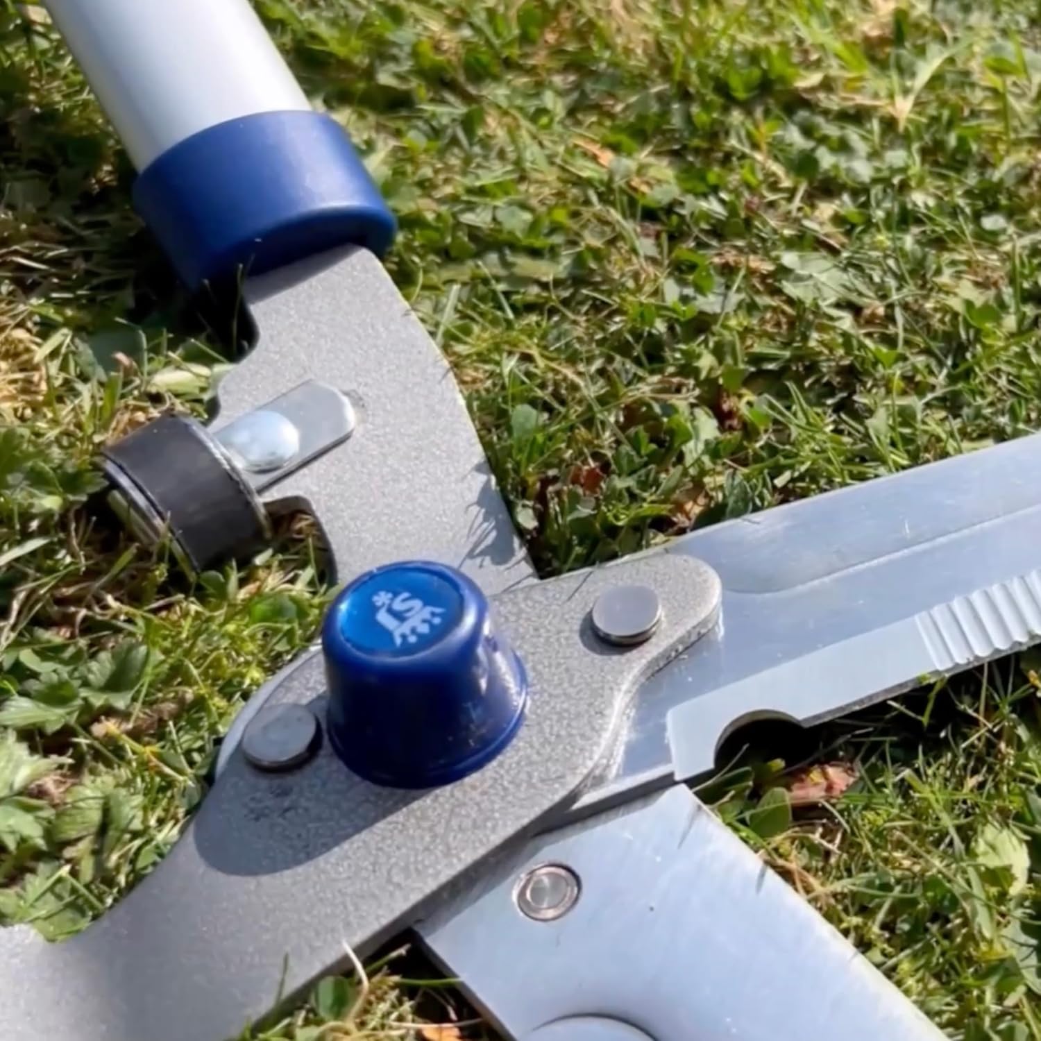 Spear & Jackson Razorsharp Notched Hedge Shears, Professional Garden Tool for Precision Trimming and Shaping, Quality Carbon Steel Blades