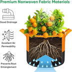 15-Gallon Grow Bags for Potato Planting: 6 Pack Heavy Duty 350G Thickened Potatoes Planter Bags with Handles - Fabric Pots Felt Garden Bags for Growing Vegetable Fruit Flower Herb with Plant Labels