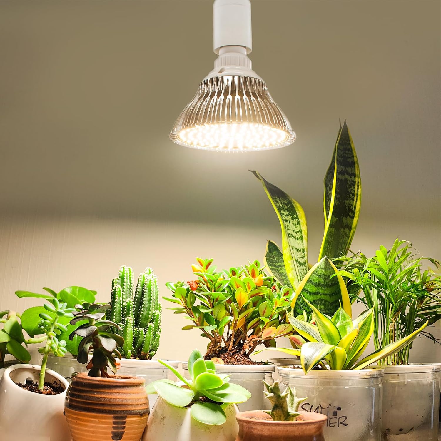 Hanging Grow Light for Indoor Plants, 3000K | 25W Hanging Plant Light, 3000K Full Spectrum LED with 16.4ft Power Cord, Ideal for Indoor Tall Plants,1-Pack