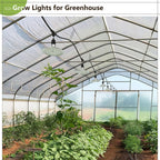 Outdoor LED Grow Light with Timer, 12-Light Full Spectrum Grow Light Strip, Waterproof Plant Lamps, UL Certified String Grow Lights for Greenhouse Garden, 41FT Light for Veg Seedling Flower