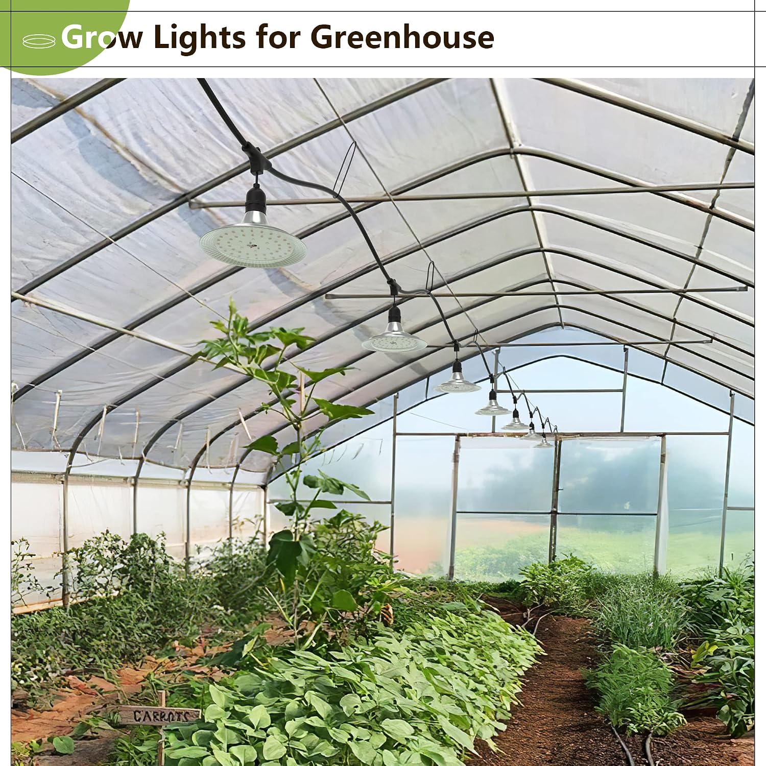 Outdoor LED Grow Light with Timer, 12-Light Full Spectrum Grow Light Strip, Waterproof Plant Lamps, UL Certified String Grow Lights for Greenhouse Garden, 41FT Light for Veg Seedling Flower