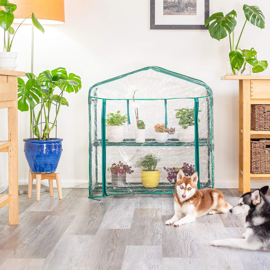 educational insights greenthumb portable greenhouse, small grow tent, package contents