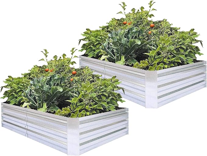 Galvanized Raised Garden Beds for Vegetables Large Metal Planter Box Steel Kit Flower Herb (6 x 3 x 1 ft * 2 Pack, Galvanized)
