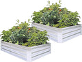 Galvanized Raised Garden Beds for Vegetables Large Metal Planter Box Steel Kit Flower Herb (6 x 3 x 1 ft * 2 Pack, Galvanized)
