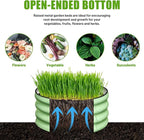 SnugNiture 3 Pcs 2x2x1ft Round Galvanized Raised Garden Bed Kit Outdoor, Metal Planter Box for Planting Plants Vegetables, Green