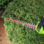 Greenworks 24V 22" Cordless Hedge Trimmer, 2.0Ah Battery and Charger Included