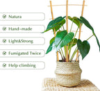 Bamboo Trellis, 12pack 16 Inch Small Plant Wood Bamboo Trellis for Climbing Plants Indoor Potted Plants