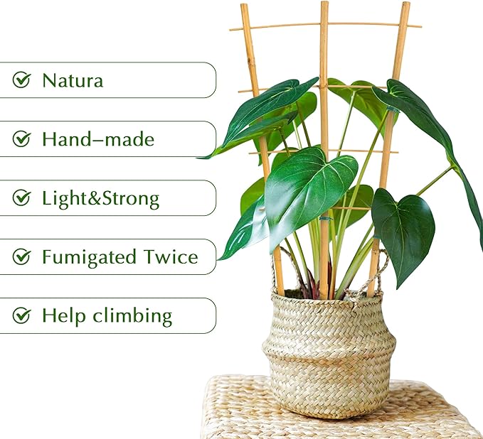 Bamboo Trellis, 12pack 16 Inch Small Plant Wood Bamboo Trellis for Climbing Plants Indoor Potted Plants