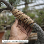 Bonsai Tree Raffia - Bonsai Plant Branch Protection + Bonsai Wiring Aid for All Tree Sizes