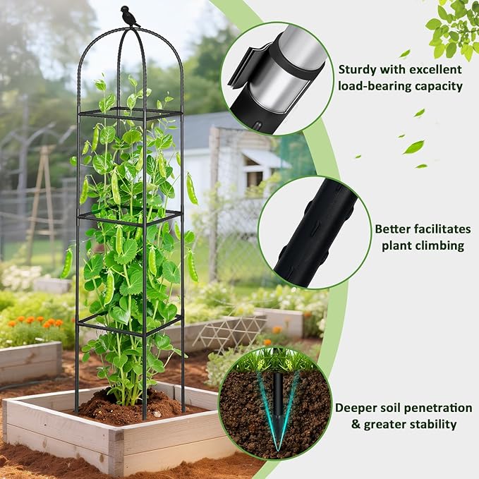 Square Tomato Cages for Garden, 6.2 FT Cucumber Trellis for Flowers, Grape, Pea, Rose, Bean, Rustproof Plastic Coated Metal Plant Support for Potted Plants Indoor Outdoor- 1PC Obelisk Trellis