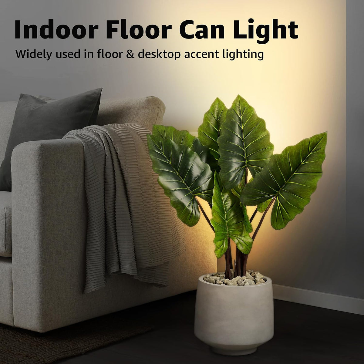 sunvie 2 pack up lights indoor floor can shown in use