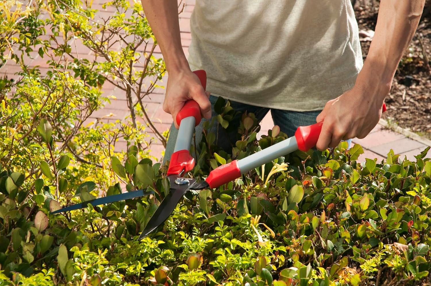 Corona HS3244 Comfortgel Hedge Shear, 9" Blade