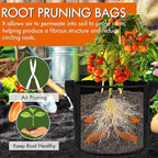 Gardzen 6-Pack 2 Gallon Grow Bags, Aeration Fabric Pots with Handles, Heavy Duty Cloth Pots for Plants