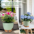Self Watering Pots for Inoor Ourdoor Plants 10/9/8/7/6.5 Inch Plastic Planters with Drainage Holes & Water Level Indicator, Decorative House Flower Nursery Planting Pots with Saucers (Green)