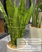 5 Pack Plant Support Stakes, Adjustable Plant Ring Cages with Green Rubber Wrapping, Ideal for Orchids, Indoor and Outdoor Potted Plants, 6" Wide x 11" High