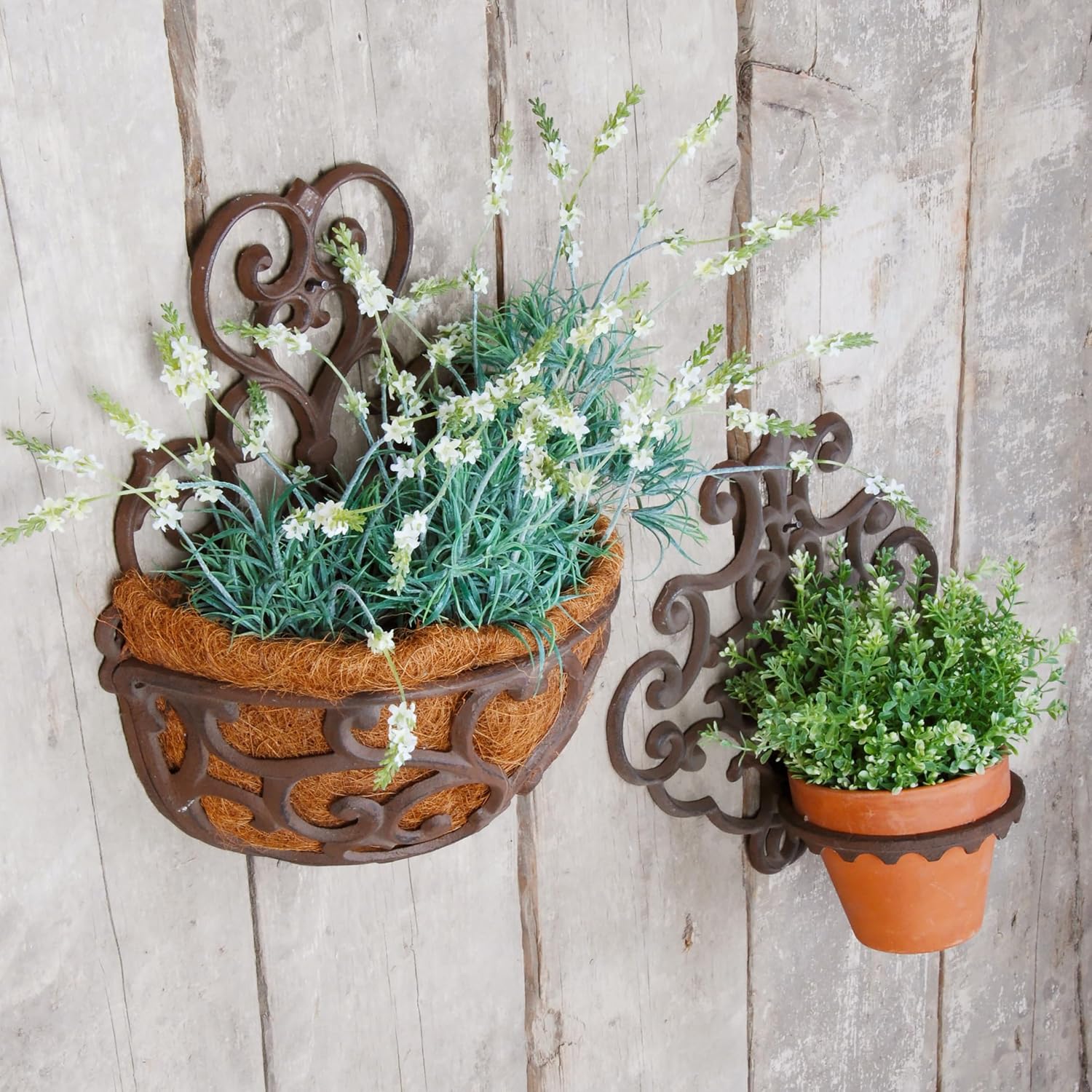 Esschert Design USA BPH51 Half Round Cast Iron Wall Planter