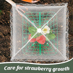 6 Sets Strawberry Plant Support with Mesh Plant Cover,Strawberry Growing Racks Sets with Iron Plant Nails and Storage Bag for Garden Strawberry Vegetables(White Net - Square)