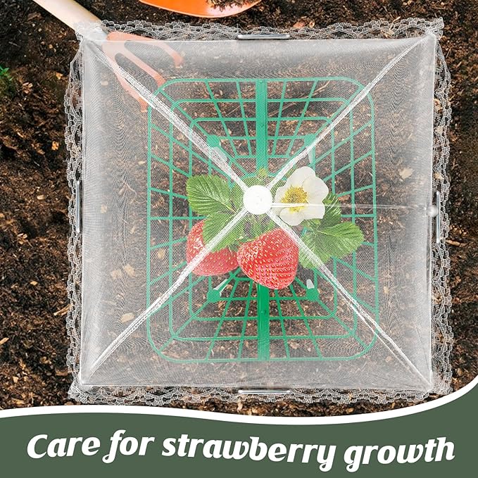 6 Sets Strawberry Plant Support with Mesh Plant Cover,Strawberry Growing Racks Sets with Iron Plant Nails and Storage Bag for Garden Strawberry Vegetables(White Net - Square)