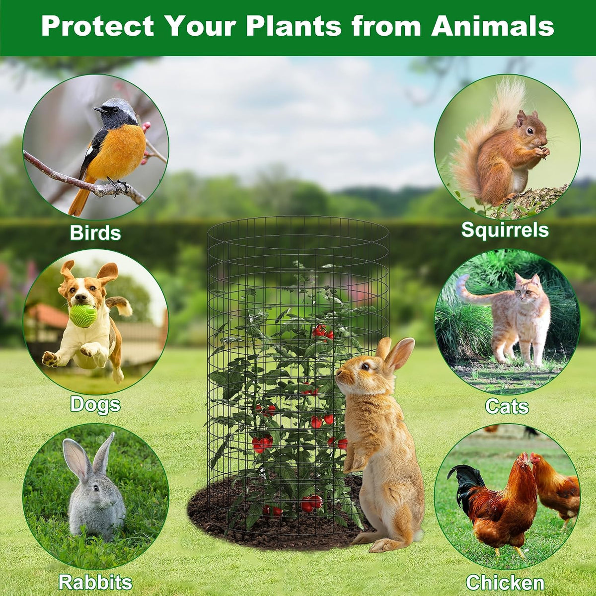 winemana 12 set garden plant protector cage,36 pcs, close-up detail