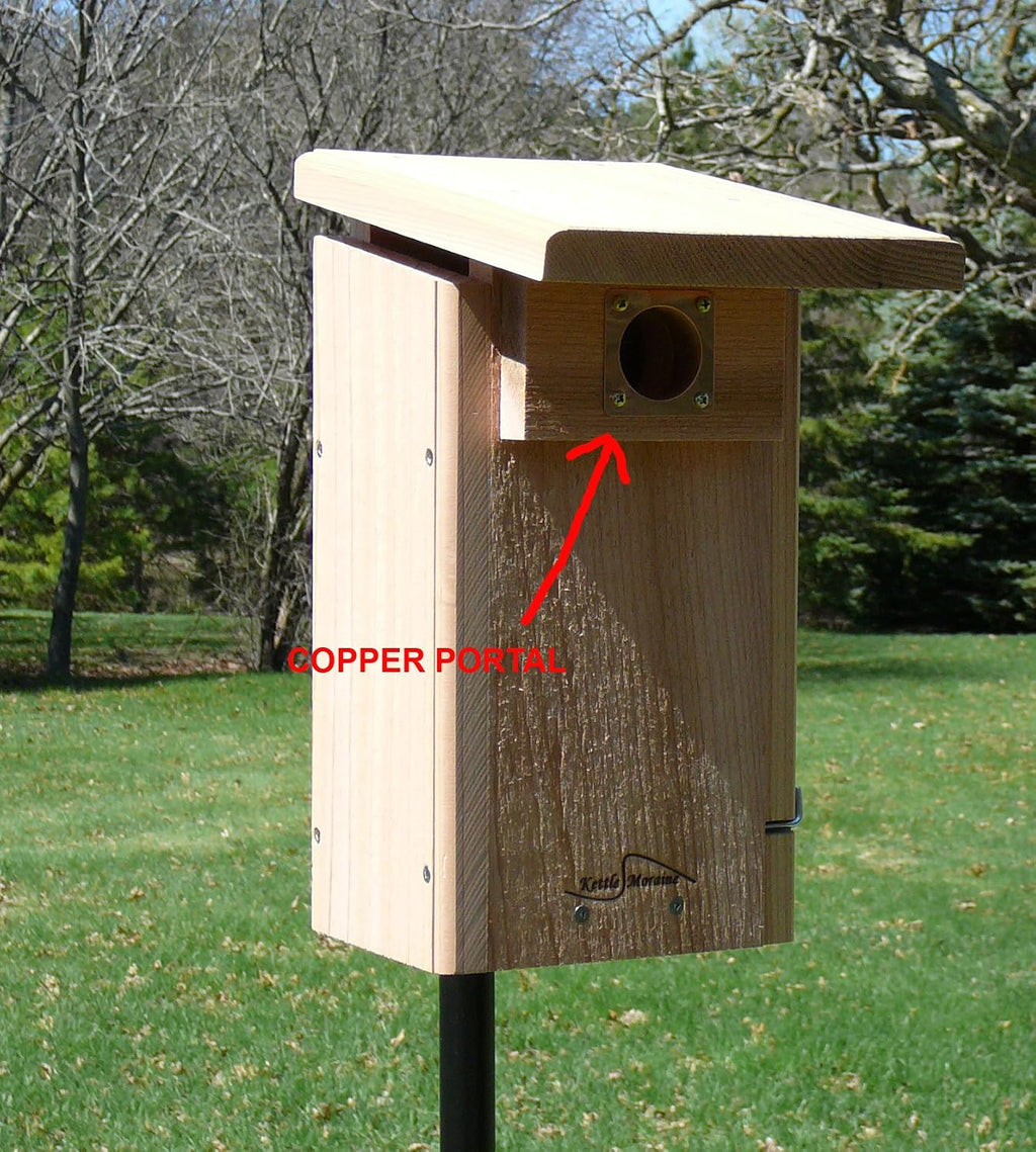 Copper Portal for Eastern Bluebird Bird Houses Predator Guard 1 1/2" Opening