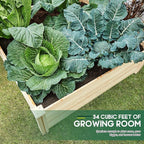 AMERLIFE 8x4 Ft Wood Raised Garden Bed, Durable 15 Inch Depth Planter Box for Vegetables, Herbs, and Flowers, Ideal for Outdoor Gardening with Open Base