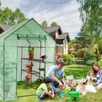 stream greenhouse, 4.75’x4.75’x6.4’ green house indoor greenhouse with on a desk or shelf