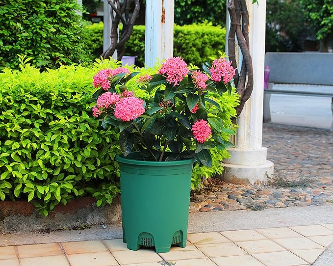 5 Gallon 10-Pack Green Nursery Pot Black Plastic Planters with Drainage for Outdoor Indoor Large Plants Trees