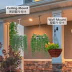 NACETURE Ceiling Hooks Heavy Duty 2 Pack - Plant Hooks for Ceiling Hanging Hook for Hanging Basket Hook, Light, Bird Feeders, Wind Chimes Décor Indoor & Outdoor (Black, 5 Inch 6 Pack)