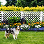 decorative metal garden fence，(10 panels+ 11 posts), total, side view