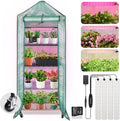 dazspirit 4-tier mini indoor greenhouse with grow light, main product view