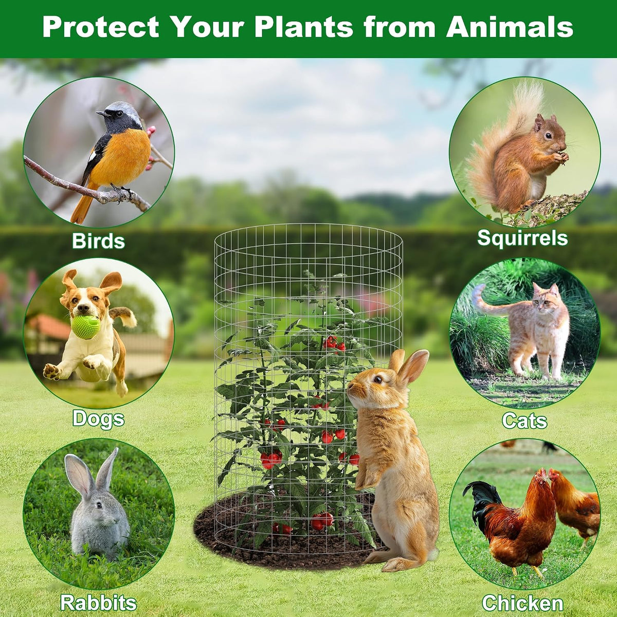 winemana 12 set plant protectors from animals, plant shown in use